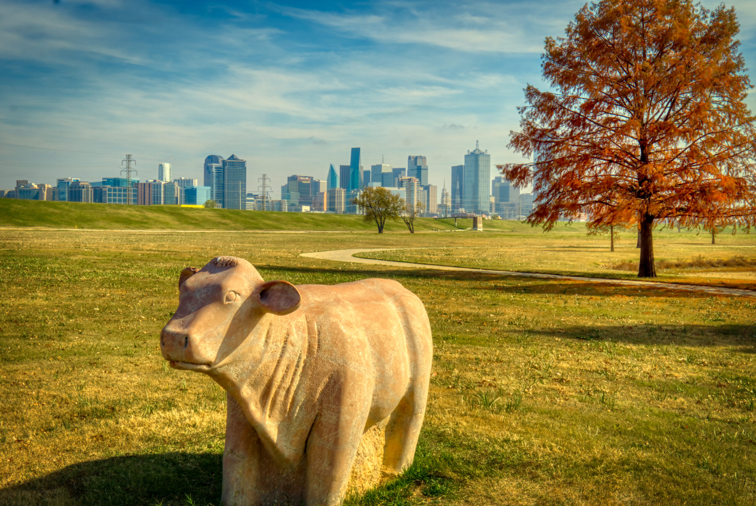 Dallas — fine art landscape photography by RDM Designs